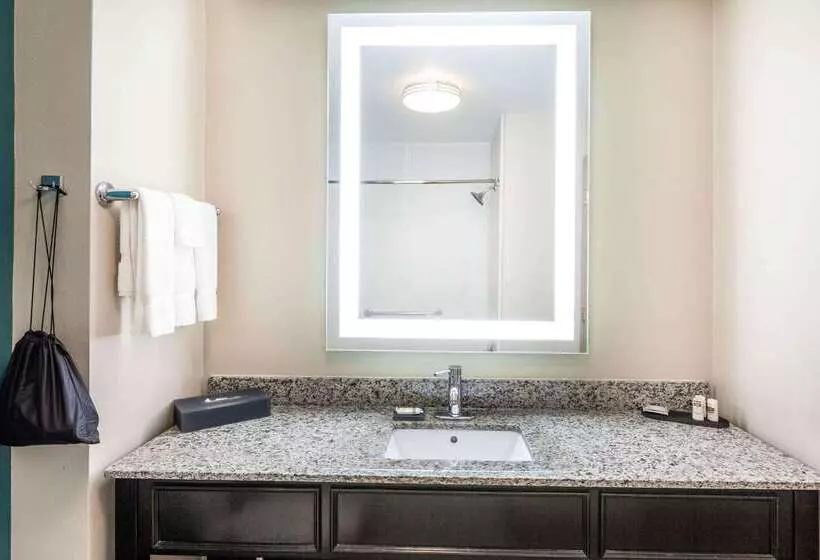 Hotelli La Quinta By Wyndham Midland North