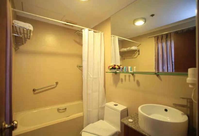 Отель The Malayan Plaza