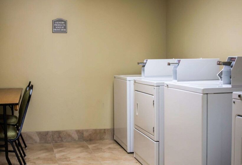 ホテル Quality Inn & Suites Tampa Ybor City