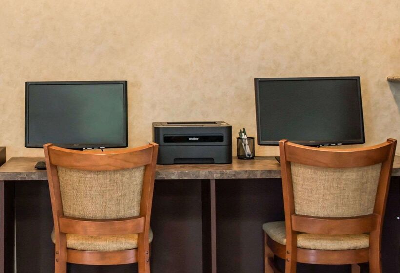 ホテル Quality Inn & Suites Tampa Ybor City