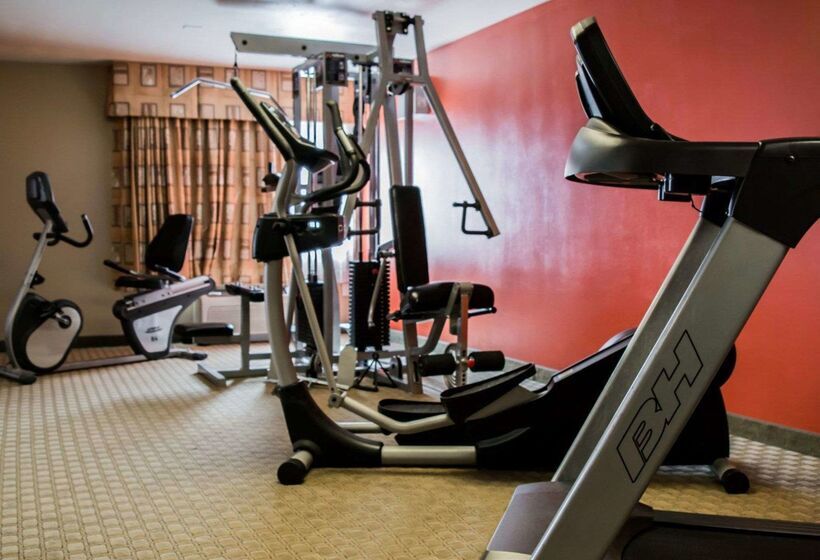 ホテル Quality Inn & Suites Tampa Ybor City