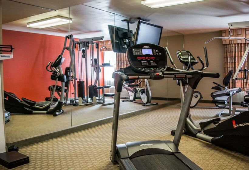 ホテル Quality Inn & Suites Tampa Ybor City