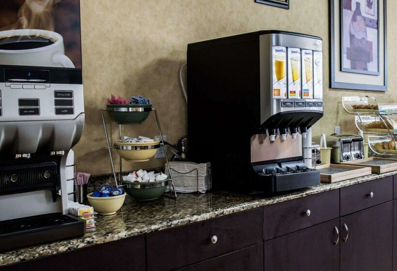 ホテル Quality Inn & Suites Tampa Ybor City