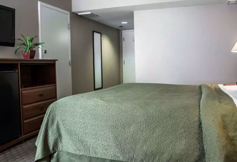 Отель Quality Inn & Suites Tampa Ybor City