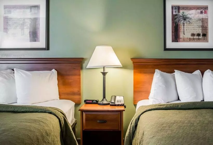 Отель Quality Inn & Suites Tampa Ybor City