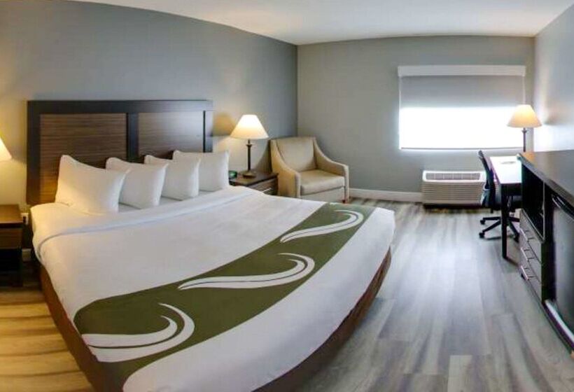 ホテル Quality Inn & Suites Tampa Ybor City
