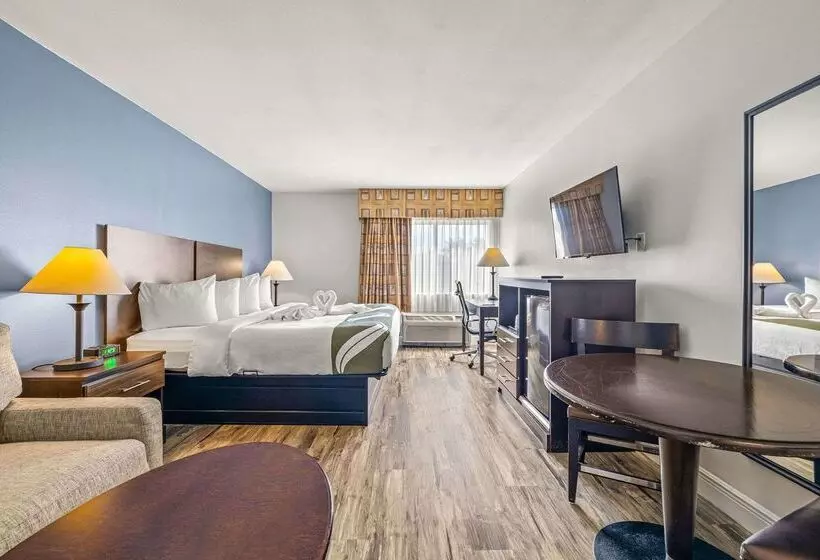 Отель Quality Inn & Suites Tampa Ybor City