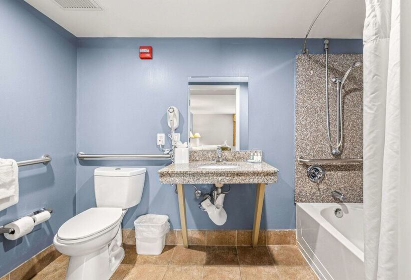 ホテル Quality Inn & Suites Tampa Ybor City