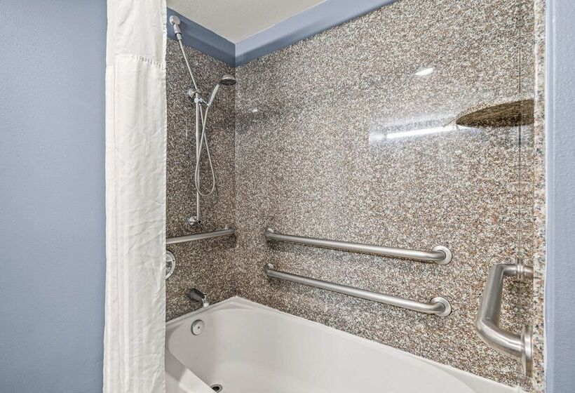 ホテル Quality Inn & Suites Tampa Ybor City