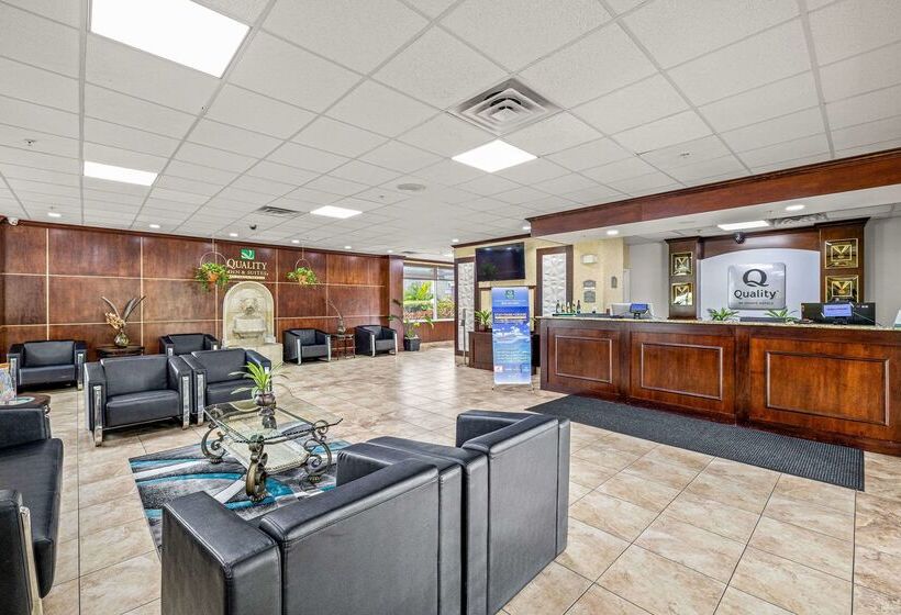 ホテル Quality Inn & Suites Tampa Ybor City