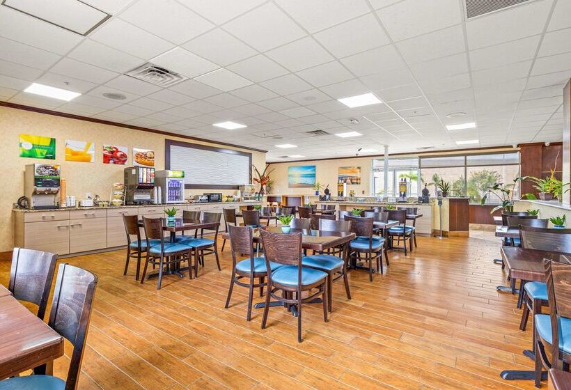 ホテル Quality Inn & Suites Tampa Ybor City