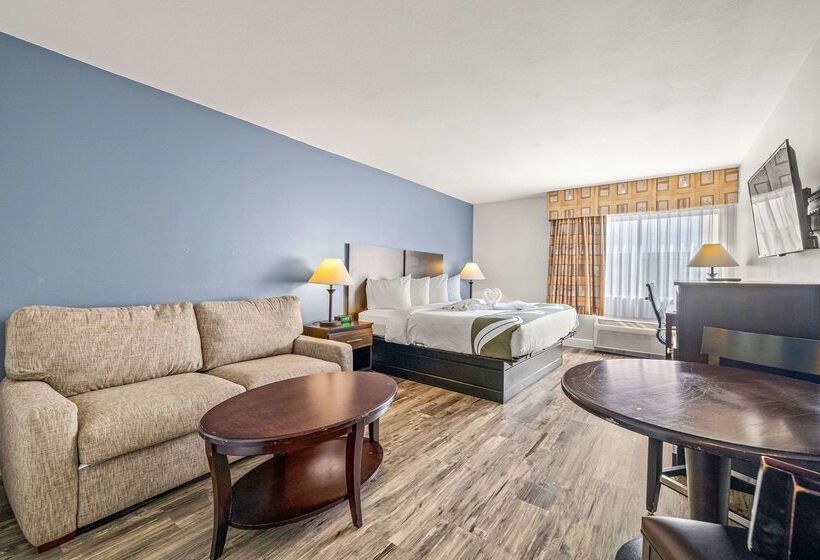 ホテル Quality Inn & Suites Tampa Ybor City