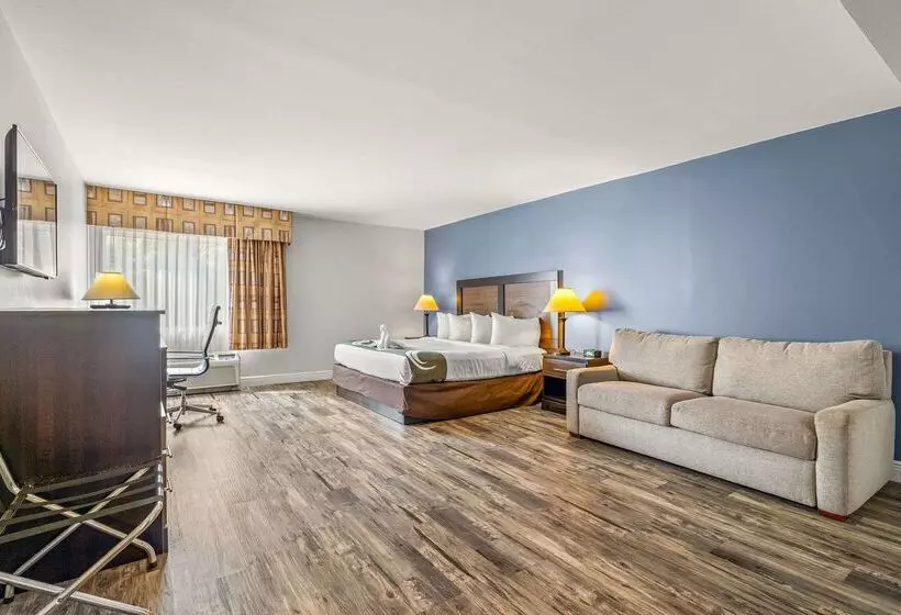Отель Quality Inn & Suites Tampa Ybor City