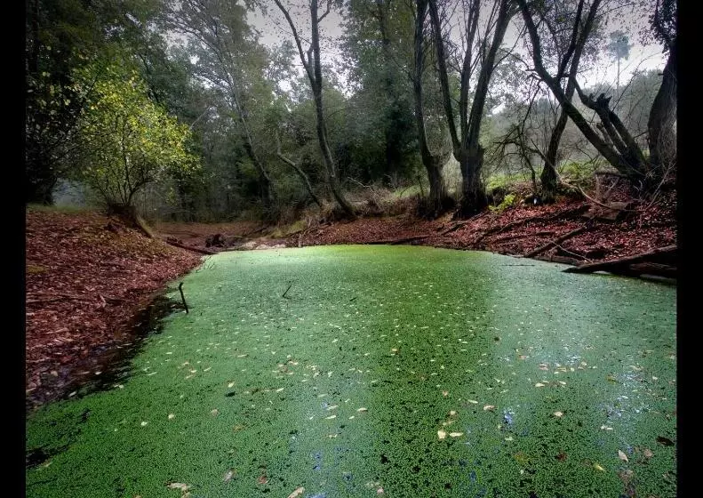 Fervenza Casa Grande & Restaurante