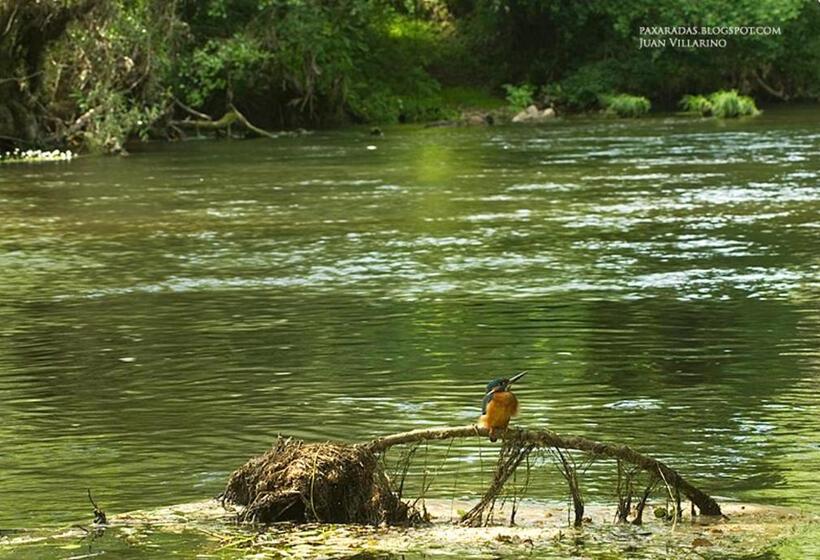 Fervenza Casa Grande & Restaurante