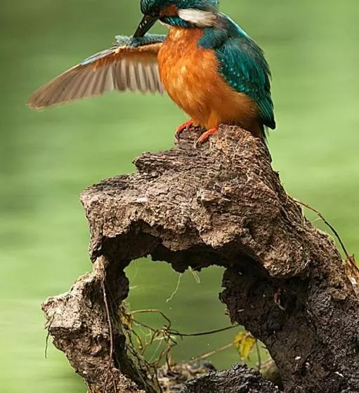 Fervenza Casa Grande & Restaurante