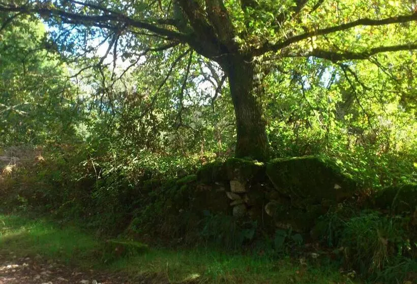 Fervenza Casa Grande & Restaurante