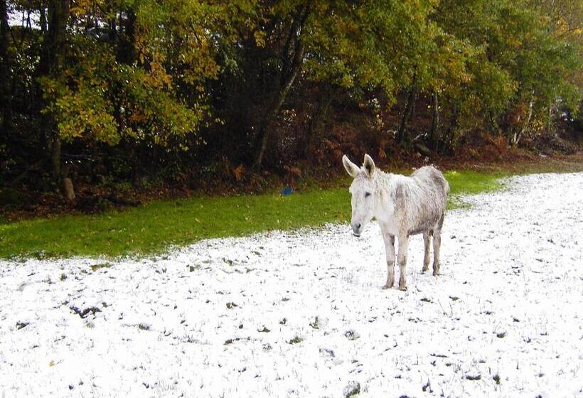 Fervenza Casa Grande & Restaurante
