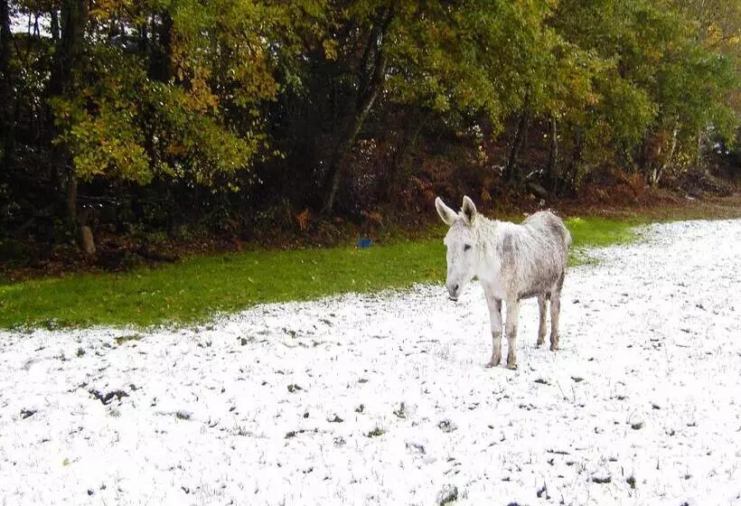 Fervenza Casa Grande & Restaurante