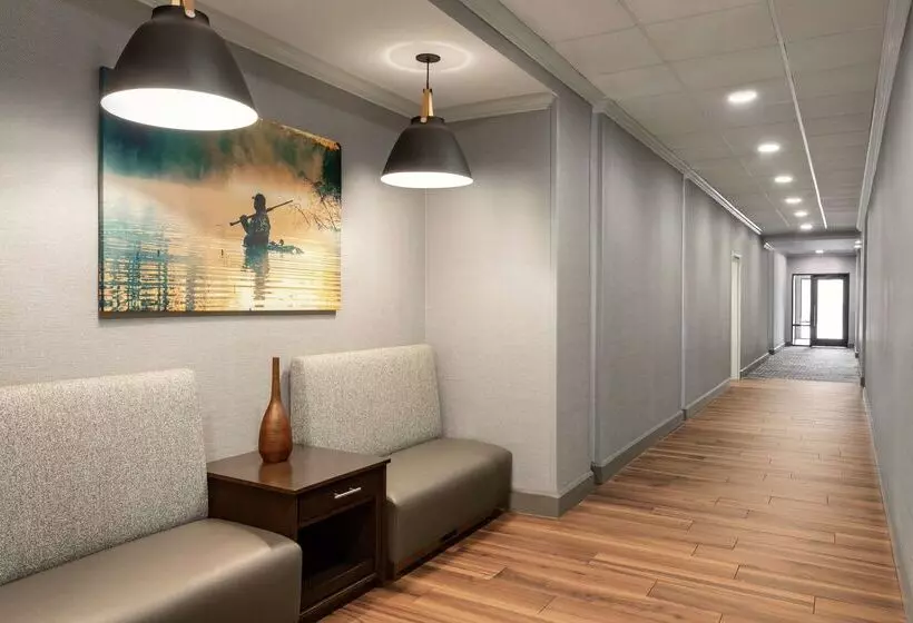 ホテル Hampton Inn And Suites Pine Bluff