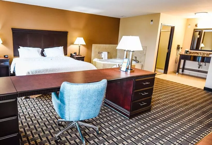 ホテル Hampton Inn And Suites Pine Bluff