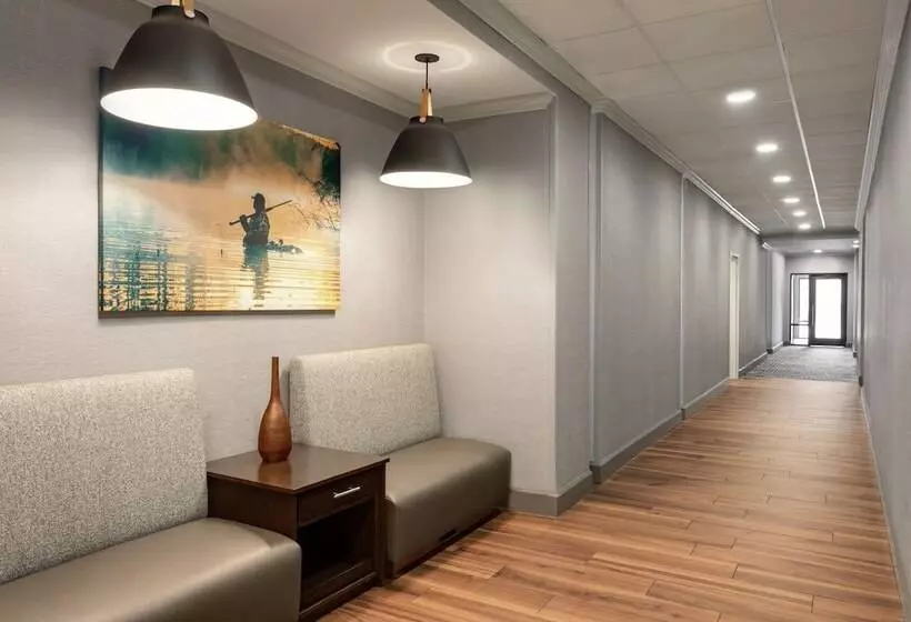 ホテル Hampton Inn And Suites Pine Bluff