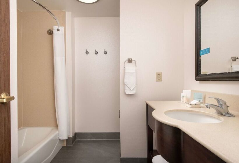 호텔 Hampton Inn & Suites Lake City