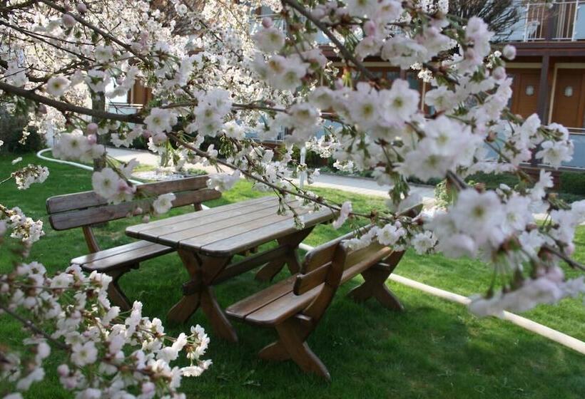 호텔 Locker & Legere