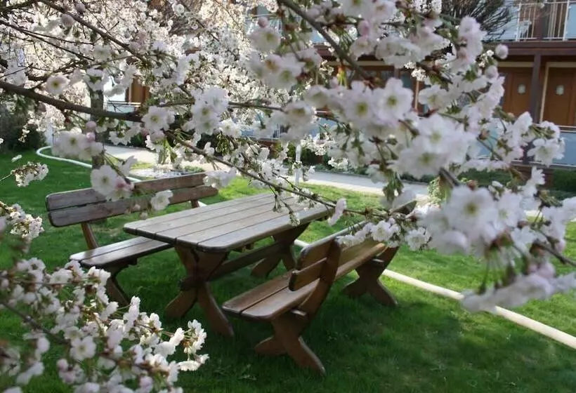 Hotelli Locker & Legere