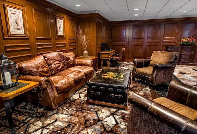 هتل Lodge Of The Ozarks