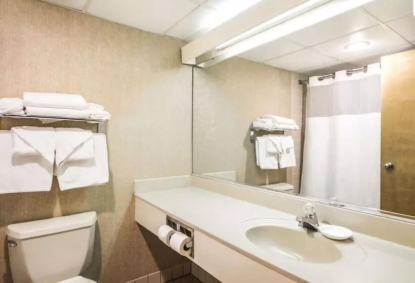 هتل Lodge Of The Ozarks