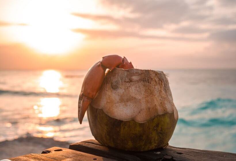 فندق Nungwi Beach Resort By Turaco