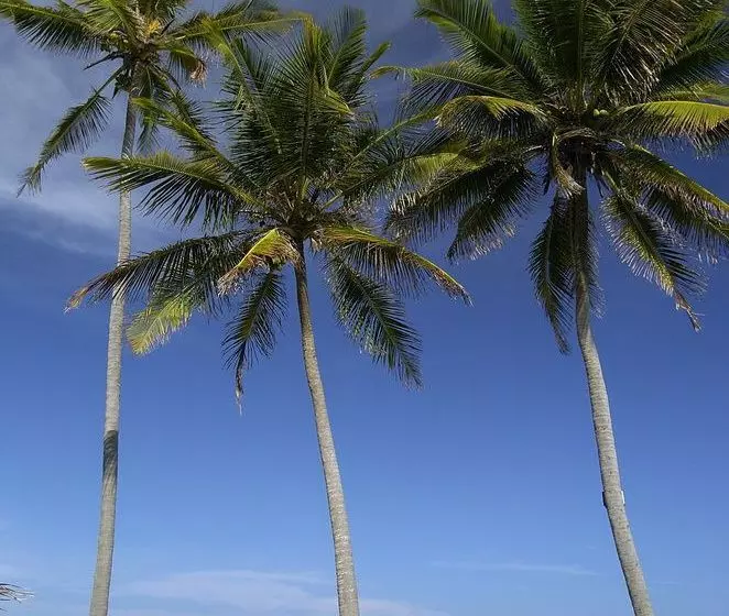 酒店 The Palms Zanzibar