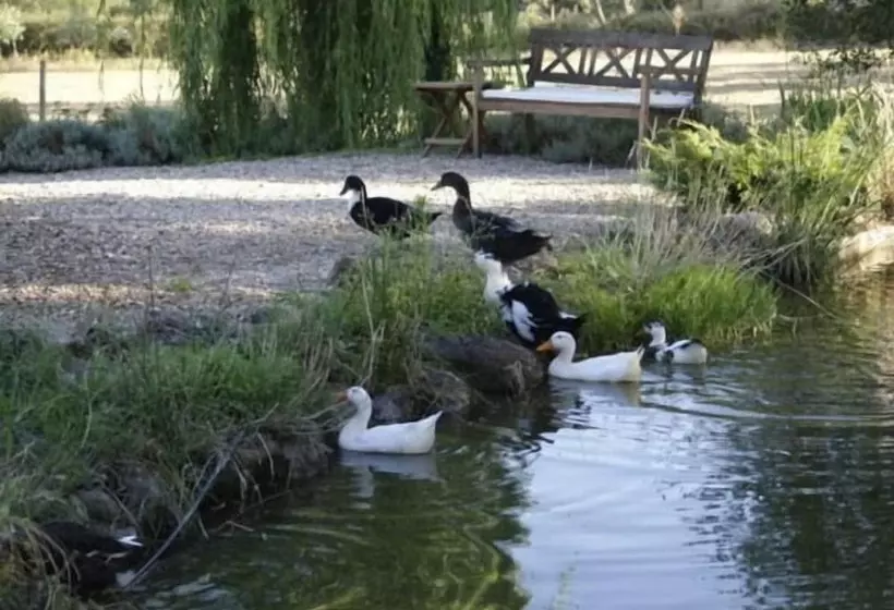 La Casona De Valfrío
