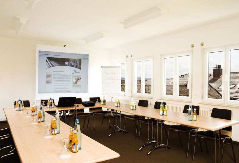 Sapia Hotel St. Fridolin