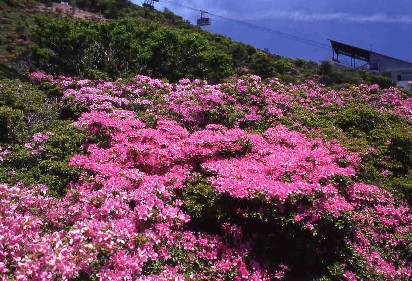 Unzen Miyazaki Ryokan