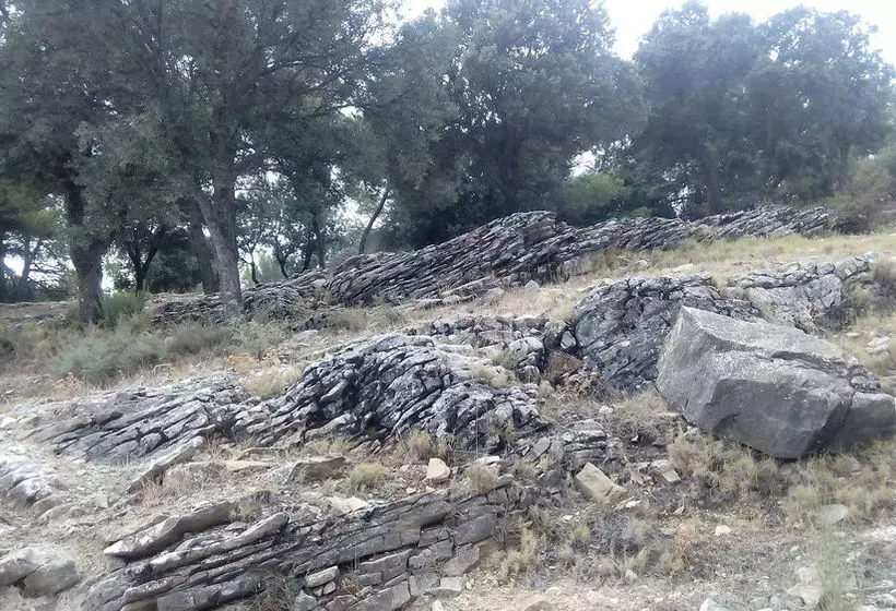 Casa Rural Molino del Paso