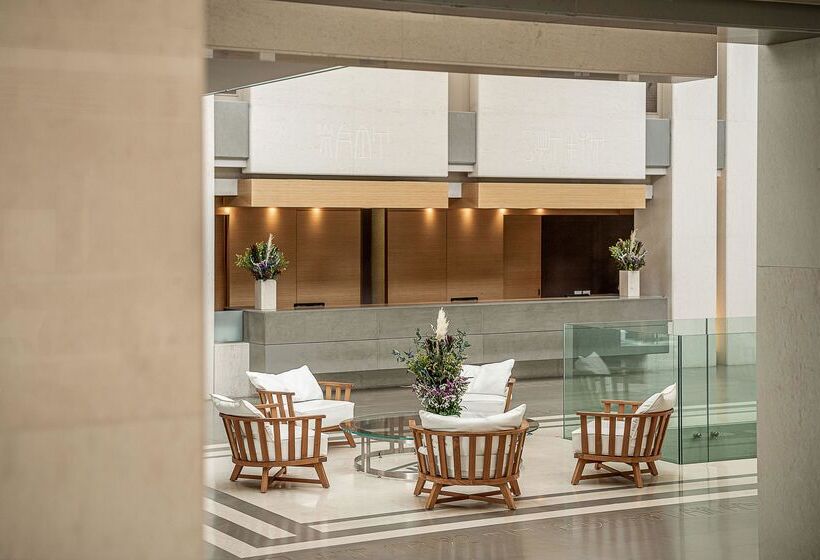 酒店 Avra Imperial