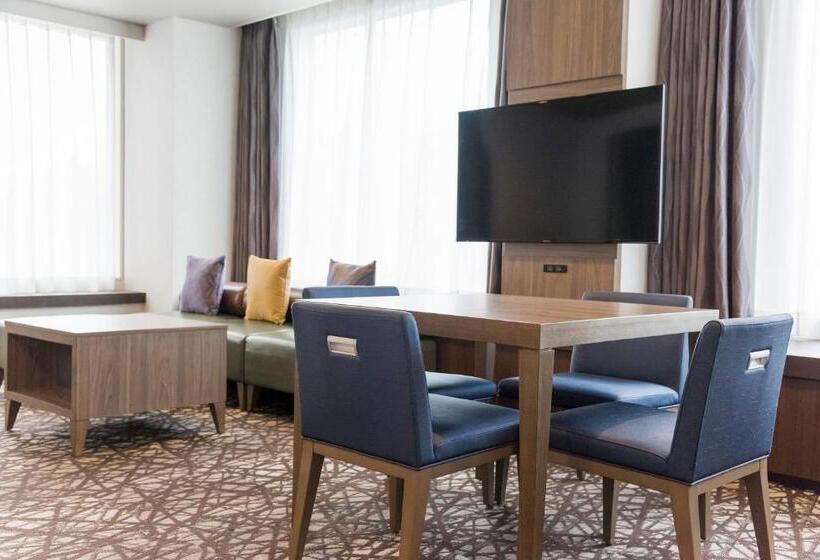 Hotel Mystays Sapporo Nakajima Park