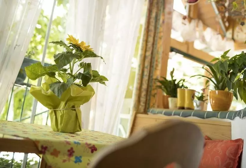 호텔 Thermenhof Puchasplus Loipersdorf