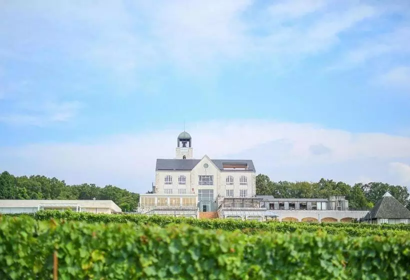 בית מלון כפרי Winery Hill