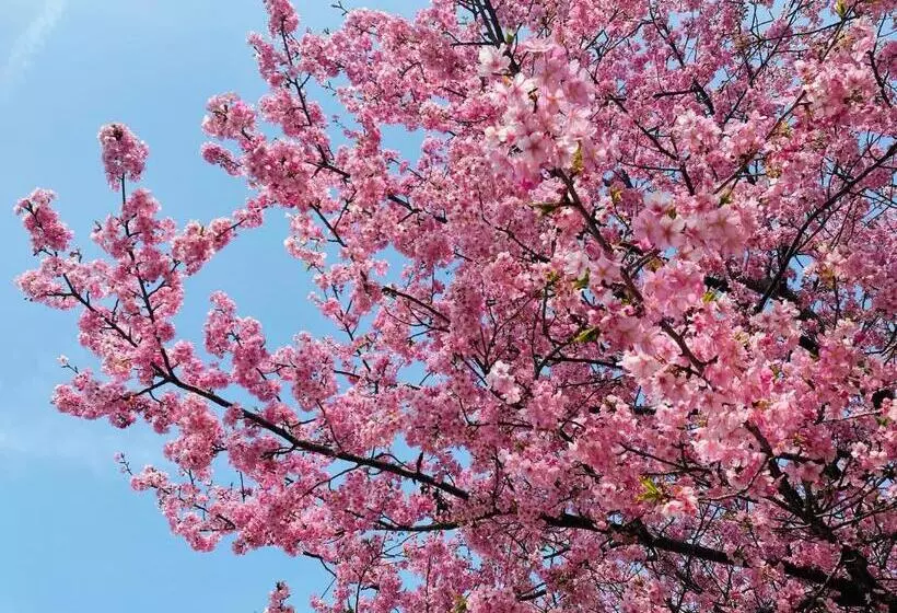 בית מלון כפרי Winery Hill