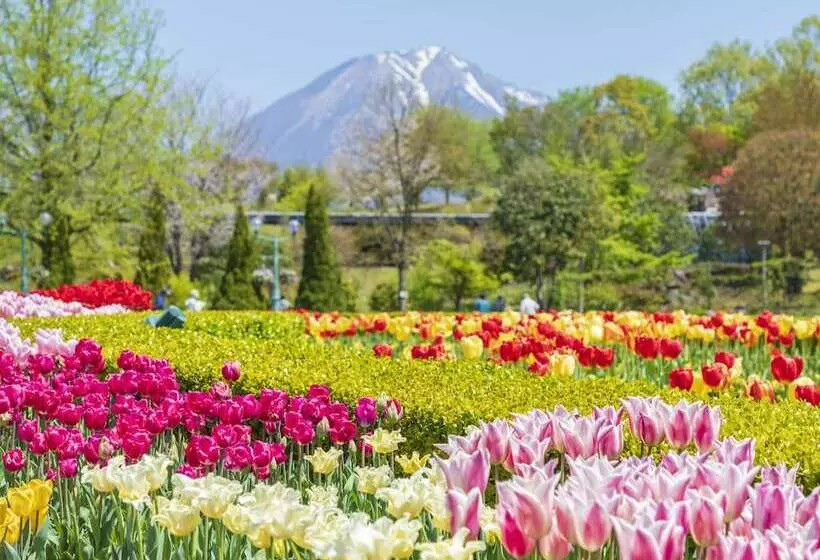 Отель Ooedo Onsen Monogatari Terunoyu