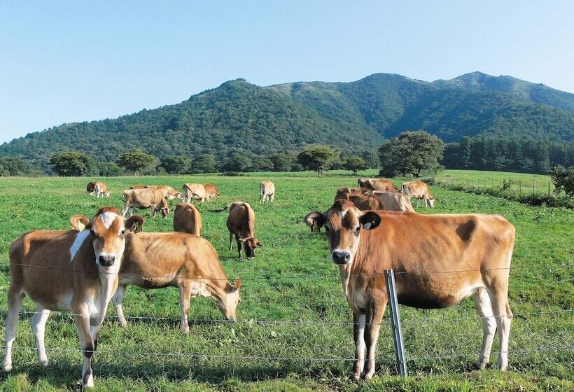 فندق Ooedo Onsen Monogatari Terunoyu