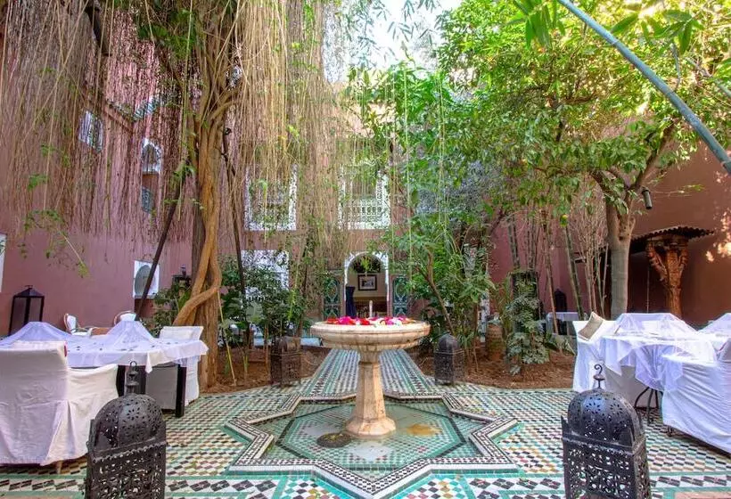 Riad Kaiss By Anika