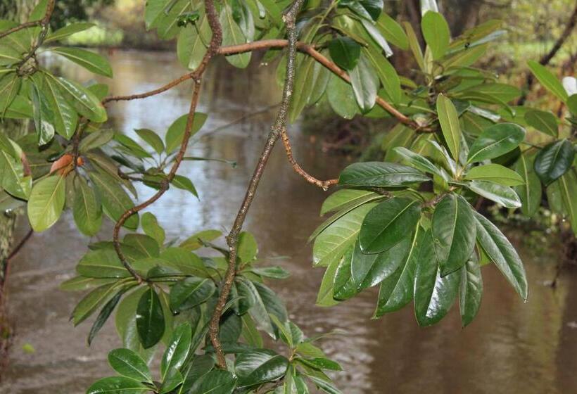 فندق Casa Do Brigadeiro