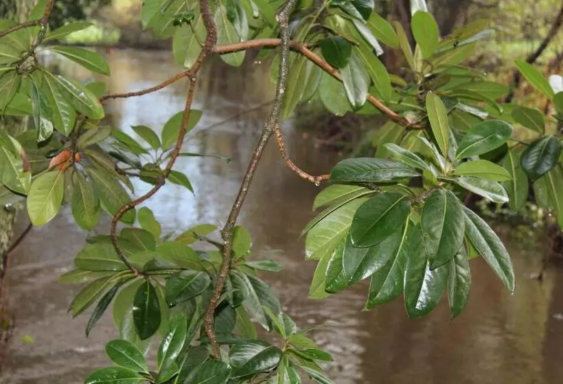 Hotel Casa Do Brigadeiro