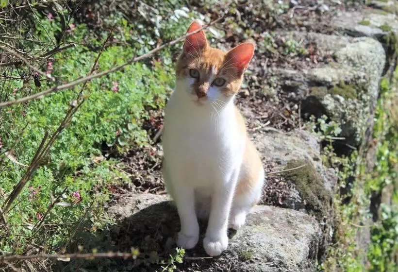 Hotel Casa Do Brigadeiro
