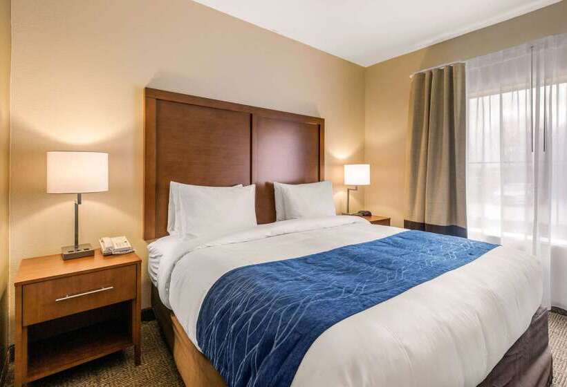 فندق Comfort Inn & Suites Iah Bush Airport – East