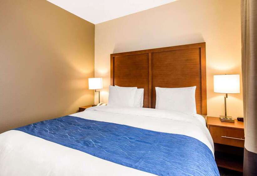 فندق Comfort Inn & Suites Iah Bush Airport – East